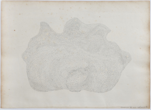 SAUVADE VIII, 2021, graphite on handmade paper D&C Blauw Auvergne 1742, 46 x 64 cm